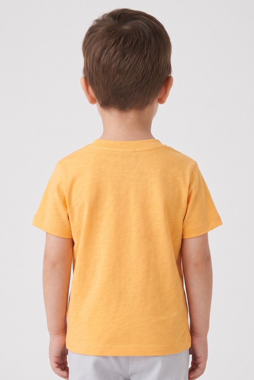 Toddlers Boy Short Sleeve Graphic Print Top, Orange
