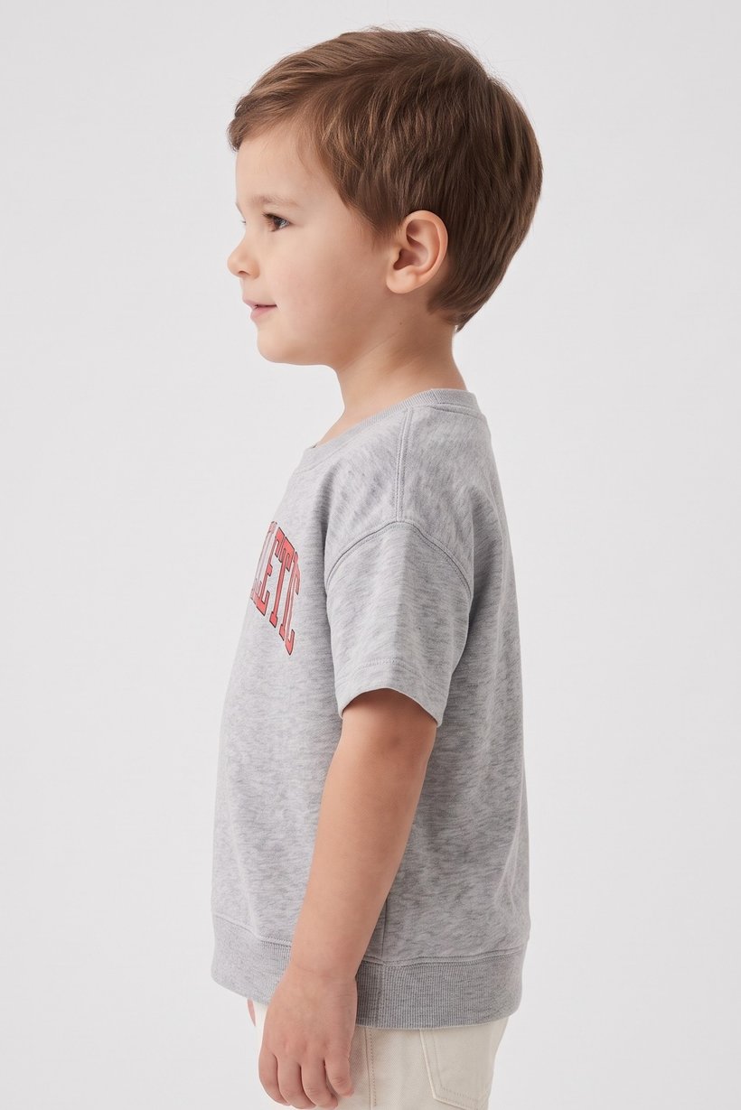 Toddlers Boy Crew Neck Short Sleeve Brand Logo T-Shirt, Grey