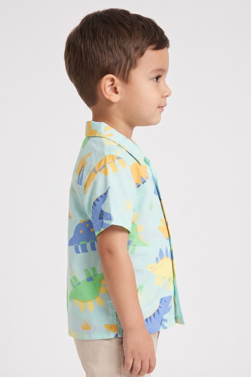 Toddlers Boy Short Sleeve Graphic Print Shirt, Multicolor