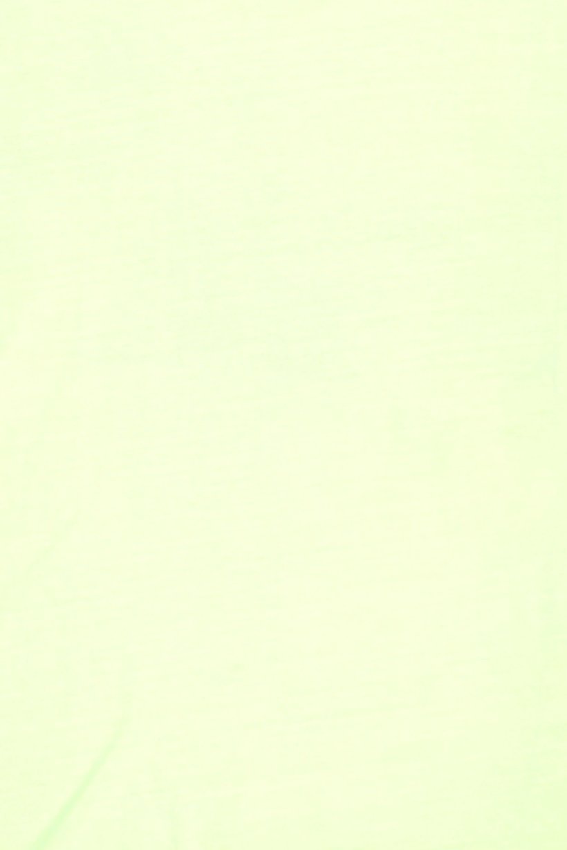 Kids Boy Crew Neck Short Sleeve Plain T-Shirt, Green