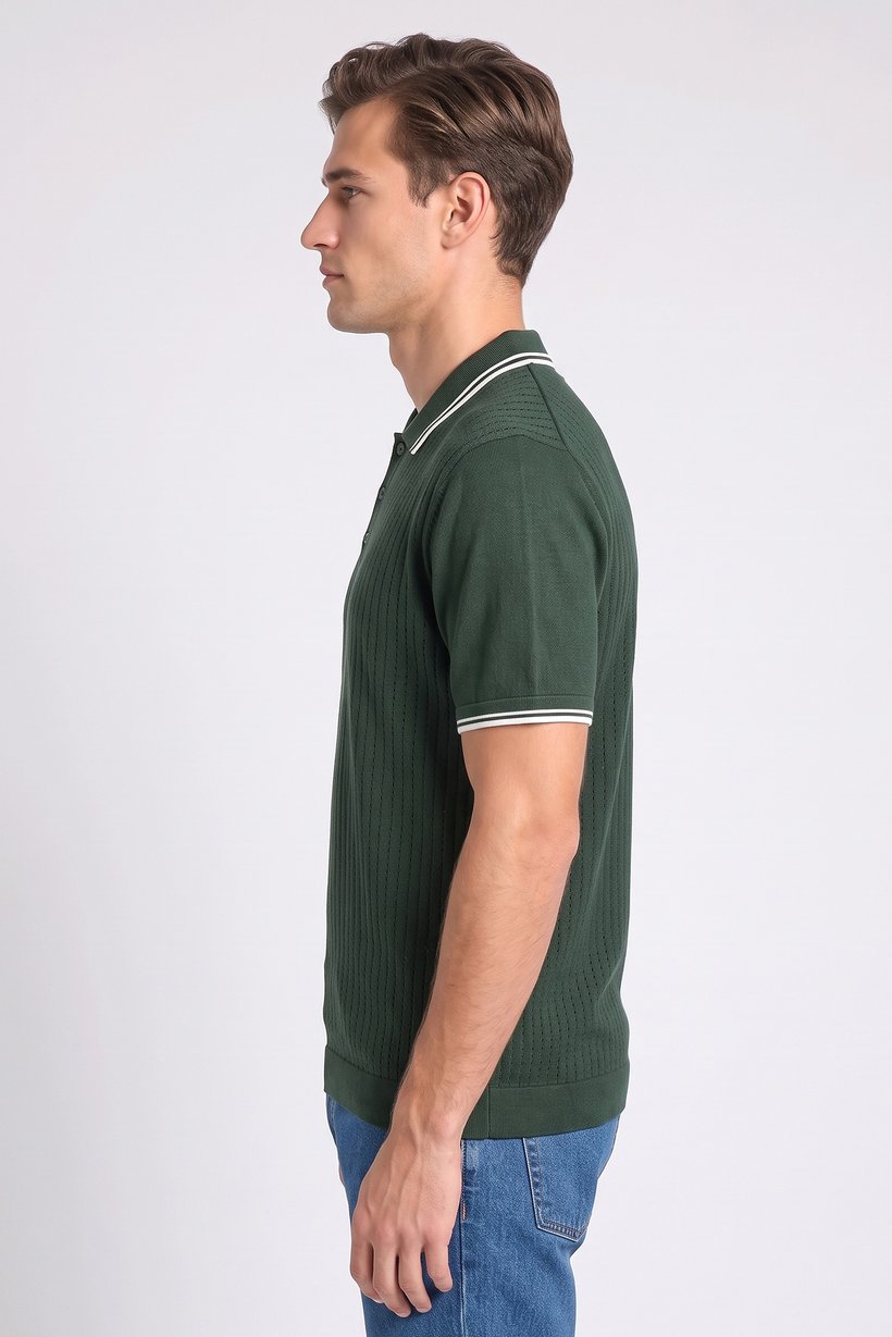 Men Regular Fit Eyelet Short Sleeve Polo Shirt, Green