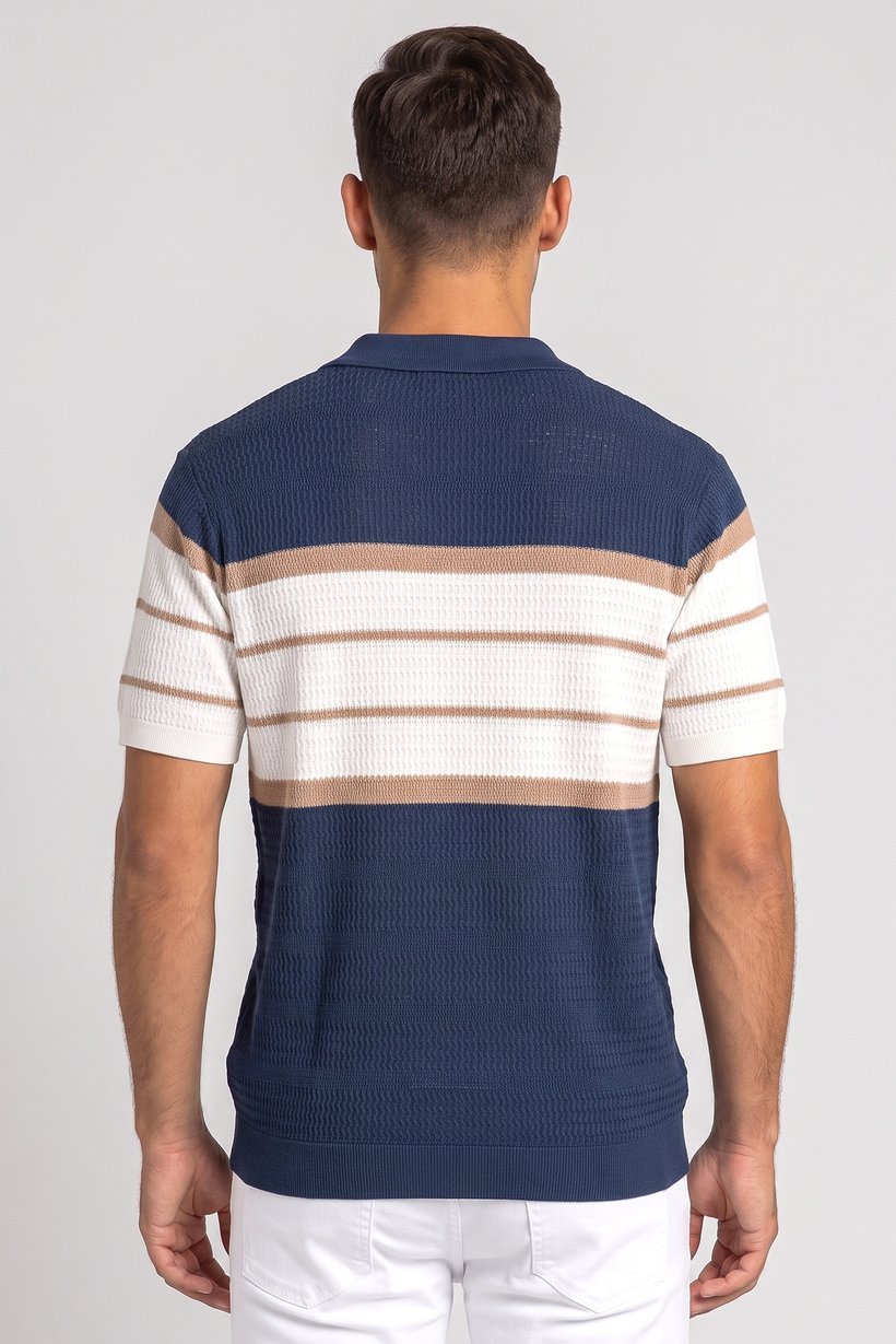 Men Regular Fit Stripe Short Sleeve Polo Shirt, Multicolor