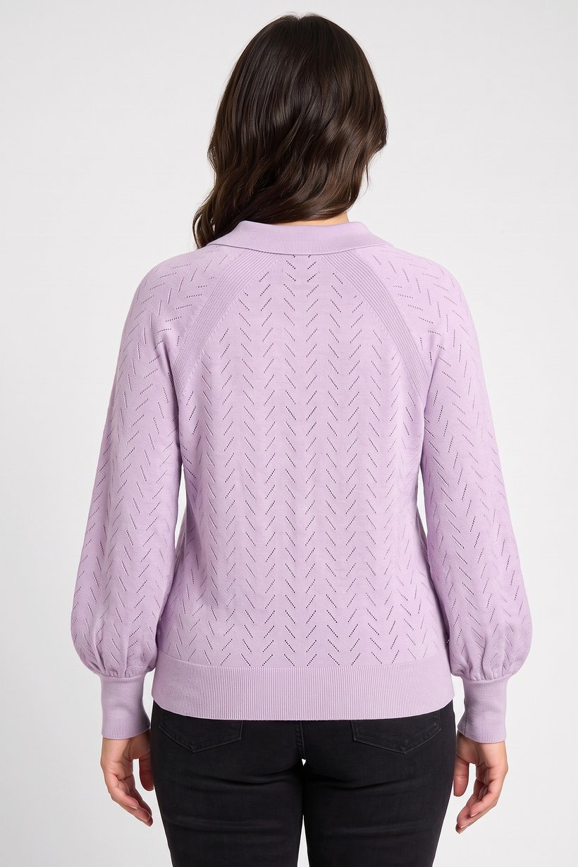Women Spread Collar Eyelet Sweater, Lavender