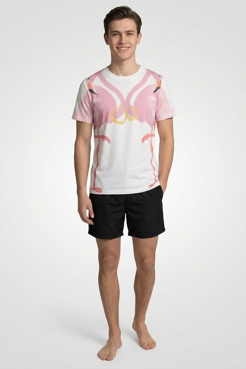 Men Round Neck Short Sleeve Graphic Print Swim T-Shirt, White