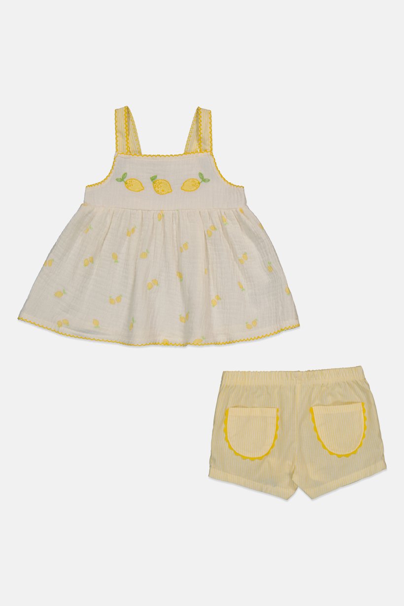 Toddlers Girl 2 Pcs Embroidered Top And Shorts Set, Yellow