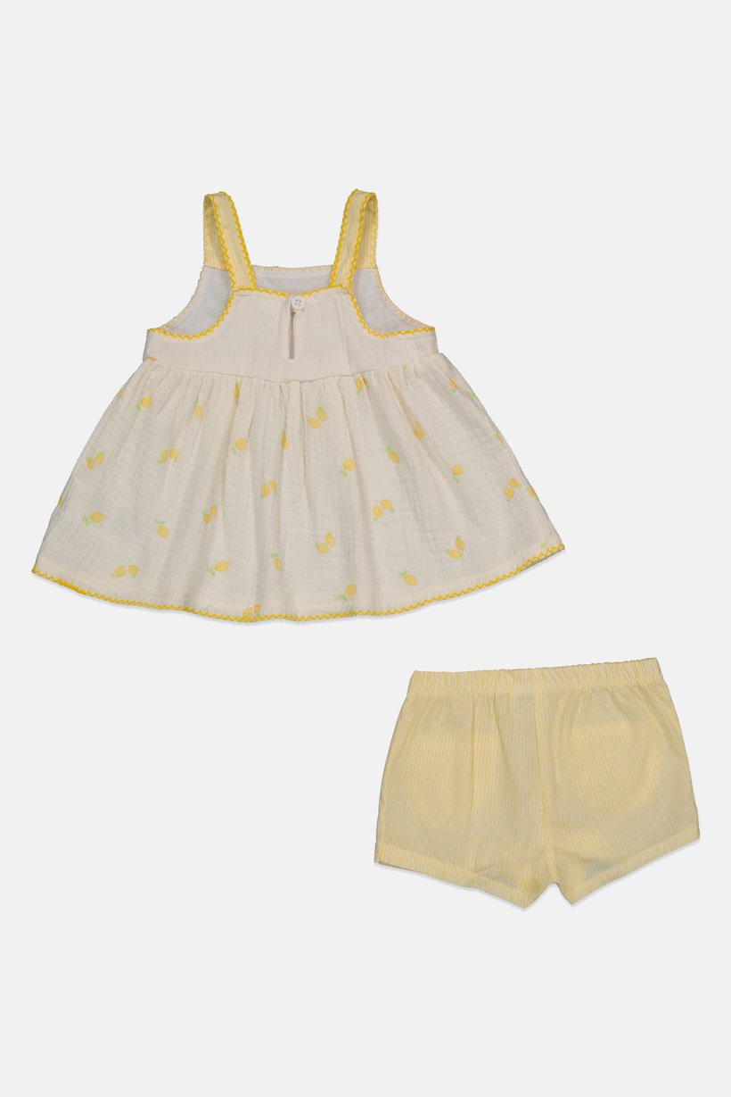 Toddlers Girl 2 Pcs Embroidered Top And Shorts Set, Yellow