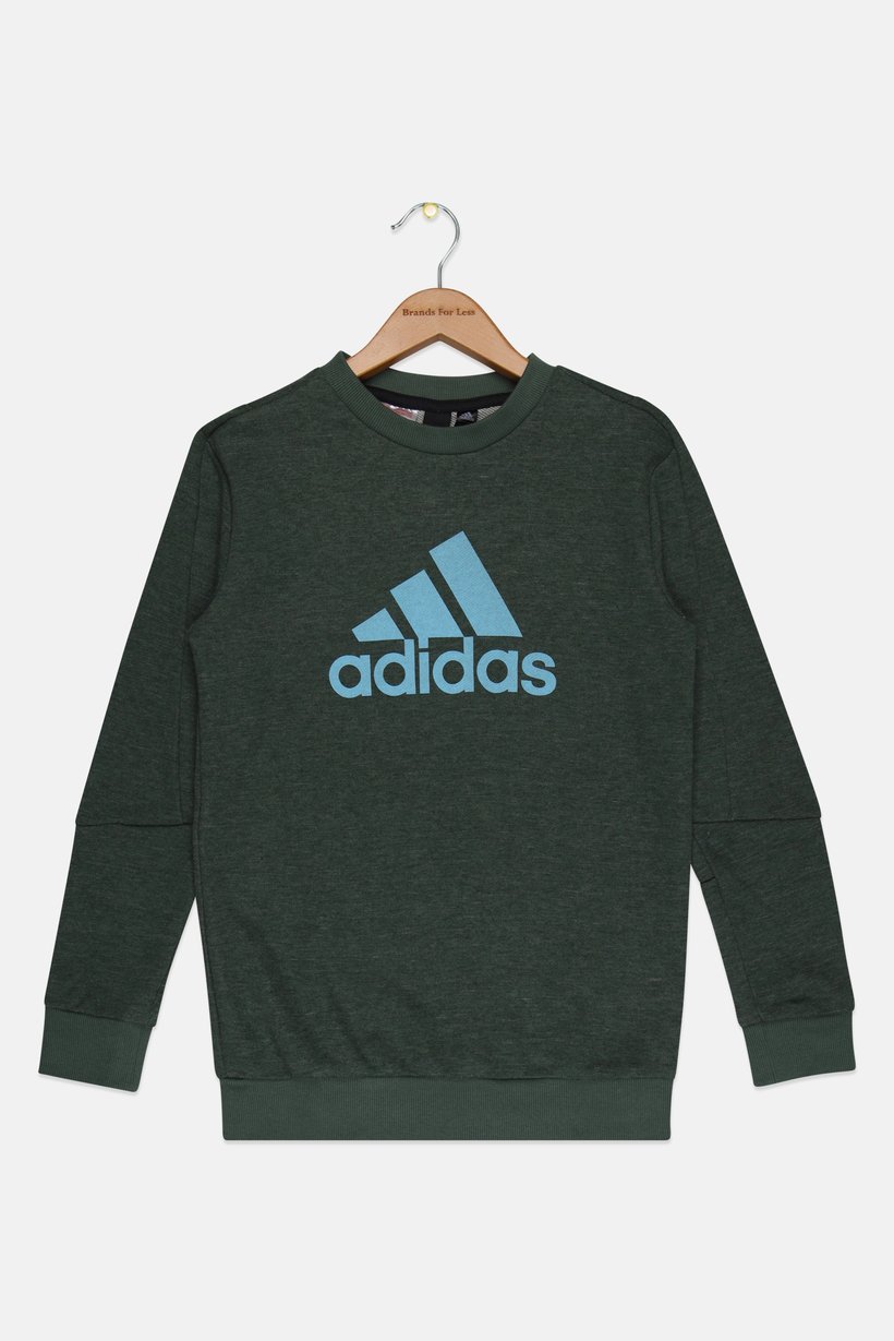 Kids Boy Sportswear Fit Long Sleeve Outdoor Sweatshirt, Green