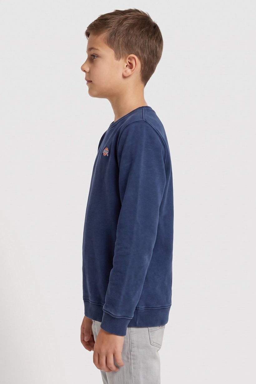 Kids Boy Embroidered Logo Long Sleeve Sweatshirt, Indigo Blue
