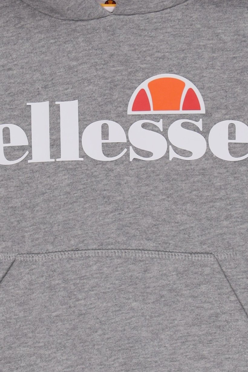 Toddlers Boy Brand Logo Hooded Sweatshirt, Heather Grey