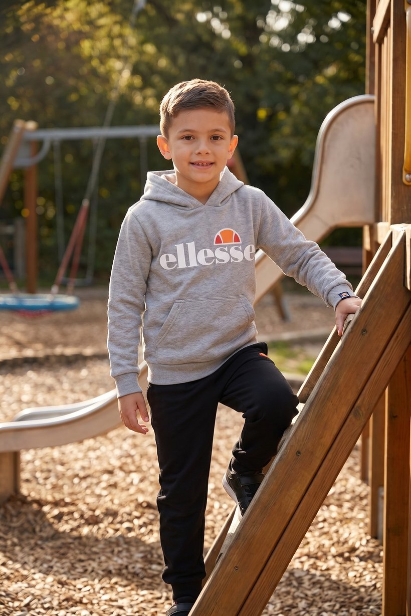 Toddlers Boy Brand Logo Hooded Sweatshirt, Heather Grey