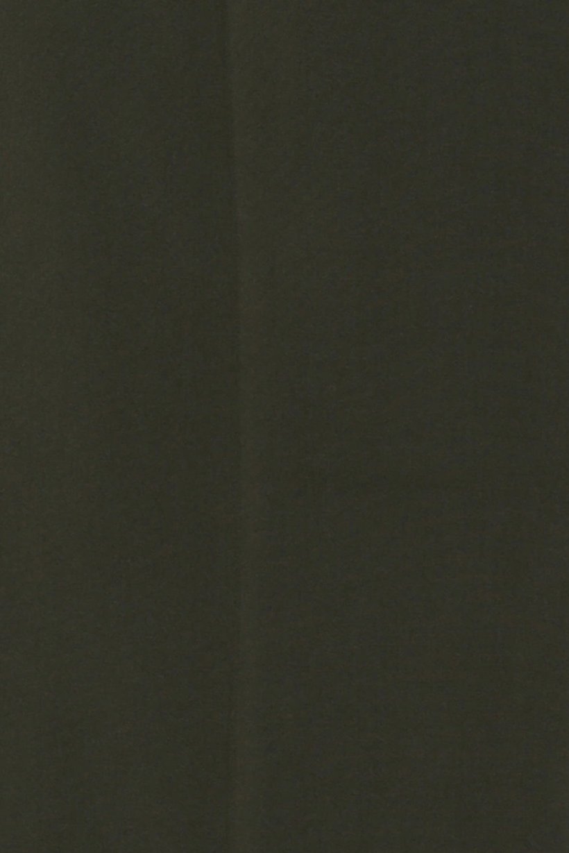 Men Slim Fit Plain Chino Pants, Green