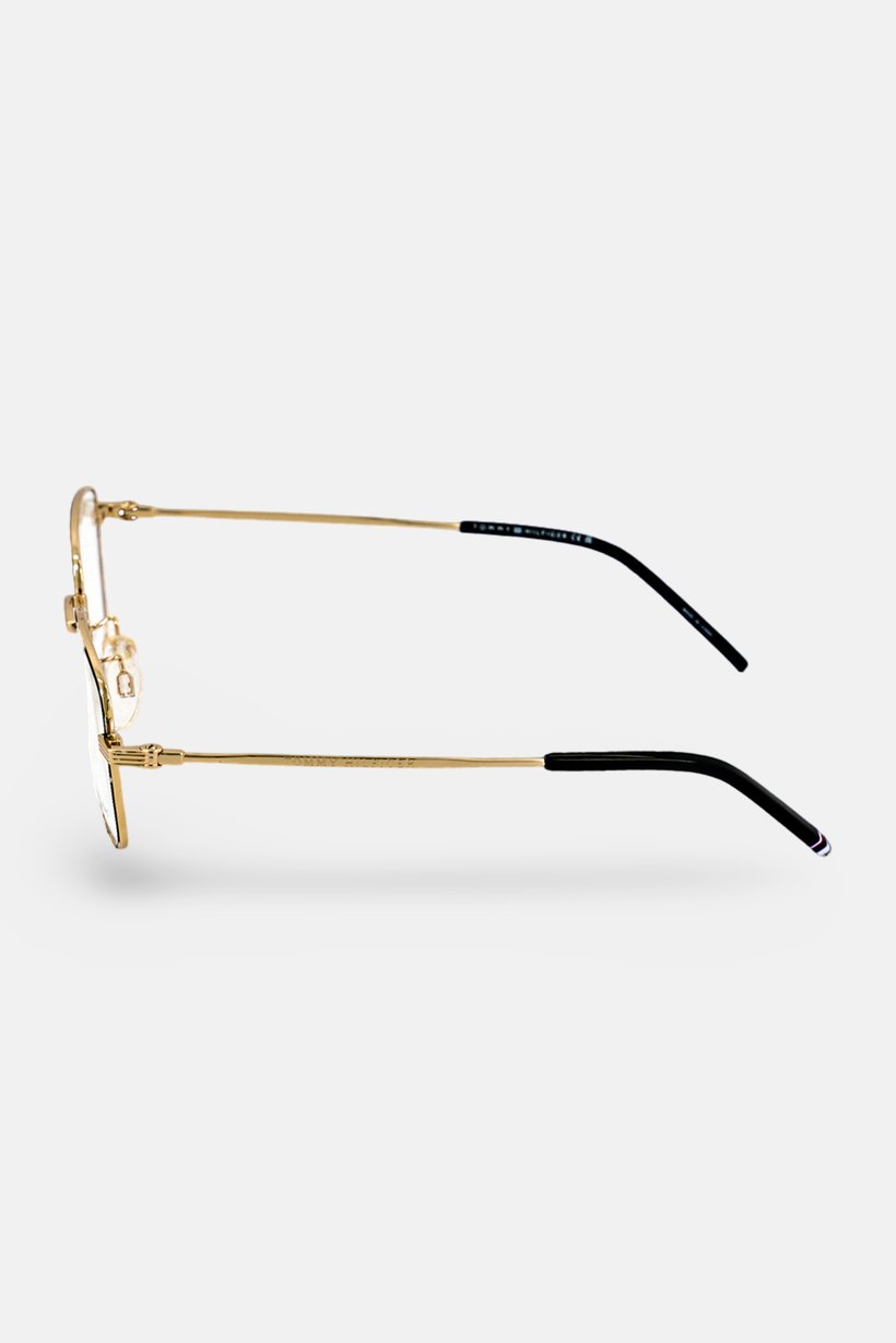 Men TH 2010 F Rectangle Sunglasses, Black