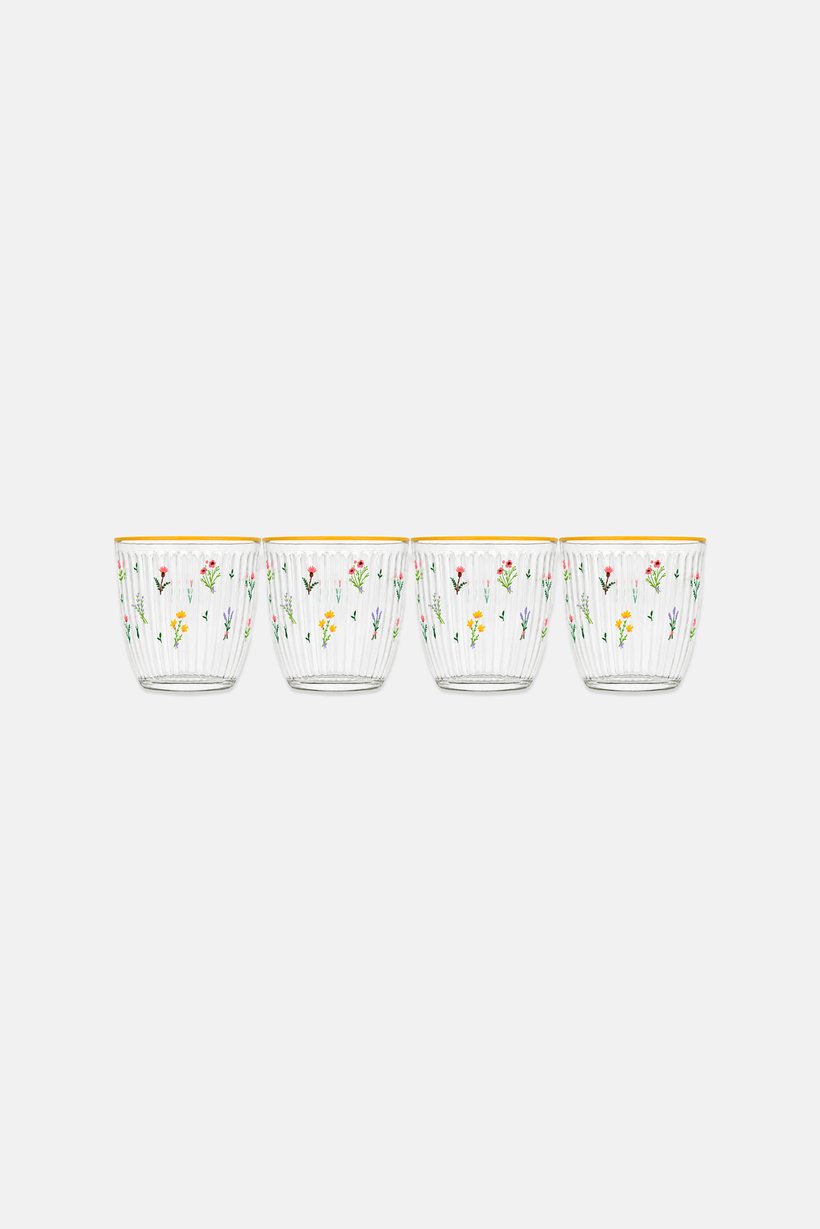 Botanical 4-Piece Tumbler Set 290 ml, Transparent