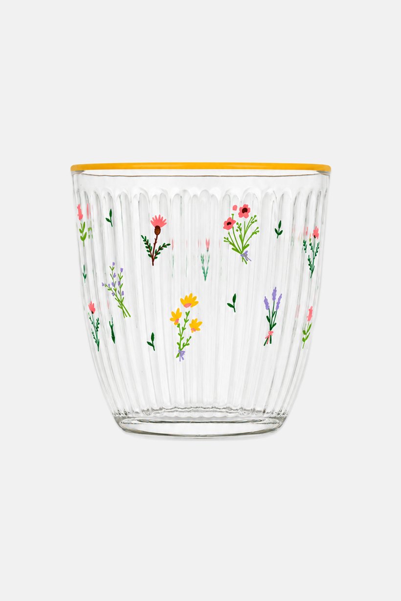 Botanical 4-Piece Tumbler Set 290 ml, Transparent