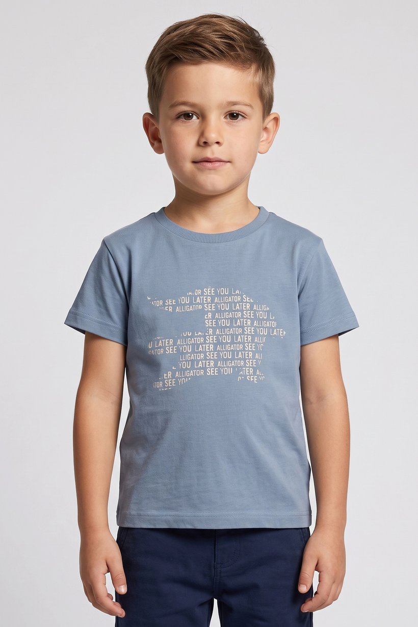 Kids Boy Graphic Print Short Sleeve T-Shirt, Slate Blue