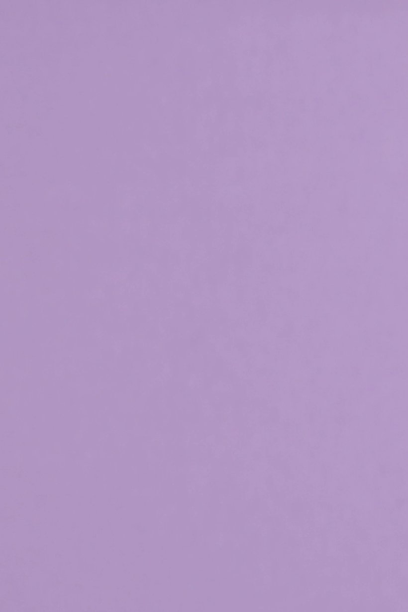 Kids Boy Crew Neck Short Sleeve Brand Logo T-Shirt, Lavender